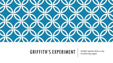 GRIFFITH’S EXPERIMENT SWBAT identify DNA as the transforming agent.