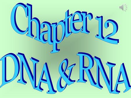 Chapter 12 DNA & RNA.