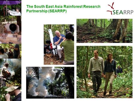 The South East Asia Rainforest Research Partnership (SEARRP)