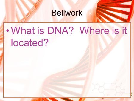 What is DNA? Where is it located?