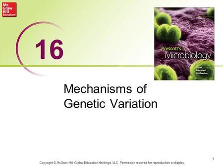 Mechanisms of Genetic Variation 1 16 Copyright © McGraw-Hill Global Education Holdings, LLC. Permission required for reproduction or display.
