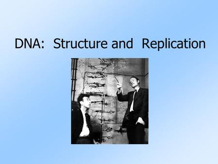 DNA: Structure and Replication. Two Types of Nucleic Acids Nucleic Acids: carry the genetic instructions for all life Nucleic Acid Stands forType of Sugar.