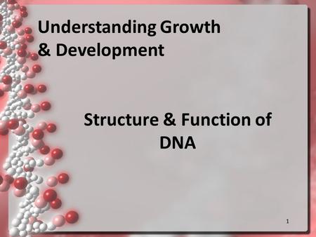11 Structure & Function of DNA Understanding Growth & Development.