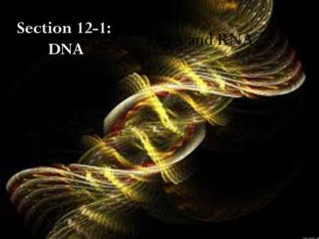 Section 12-1: DNA Chapter 12 – DNA and RNA.