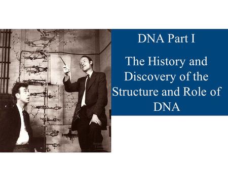The History and Discovery of the Structure and Role of DNA