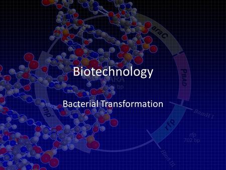 Biotechnology Bacterial Transformation. Biotechnology Can Be Used to Treat Disease.