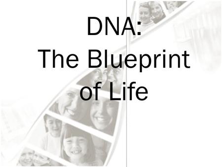 DNA: The Blueprint of Life. DNA & Scientists Griffith and Transformation In 1928, British scientist Fredrick Griffith was trying to learn how certain.