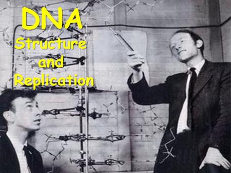 DNAStructureandReplication. Transformation: Robert Griffith (1928)
