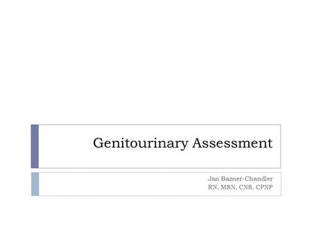 Genitourinary Assessment Jan Bazner-Chandler RN, MSN, CNS, CPNP.