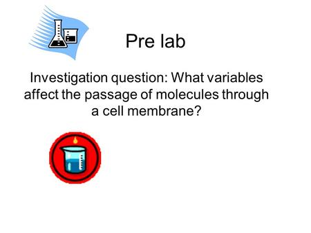 Pre lab Investigation question: What variables affect the passage of molecules through a cell membrane?
