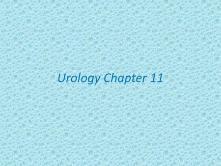 Urology Chapter 11.