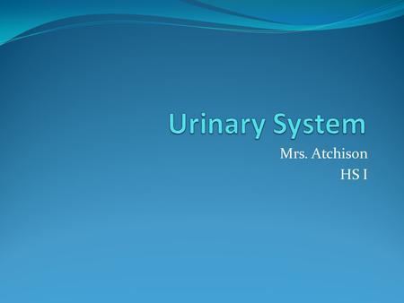Urinary System Mrs. Atchison HS I.