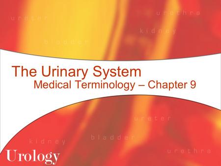 Medical Terminology – Chapter 9