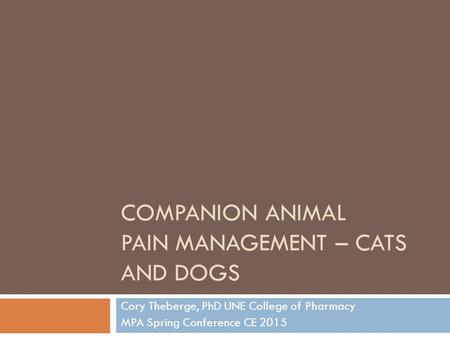 Companion Animal Pain Management – Cats and Dogs
