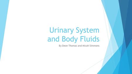 Urinary System and Body Fluids By Deon Thomas and Micah Simmons.