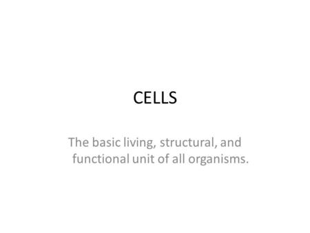 The basic living, structural, and functional unit of all organisms.