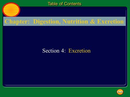 Chapter: Digestion, Nutrition & Excretion