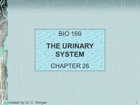BIO 169 THE URINARY SYSTEM CHAPTER 26 created by Dr. C. Morgan.