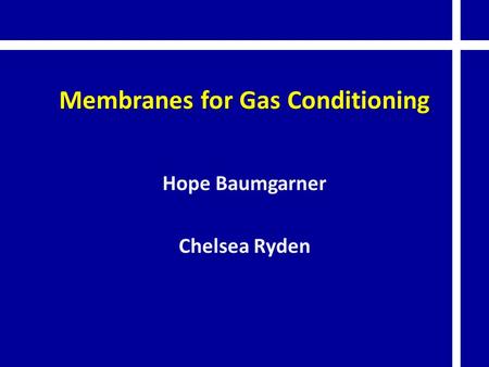 Membranes for Gas Conditioning