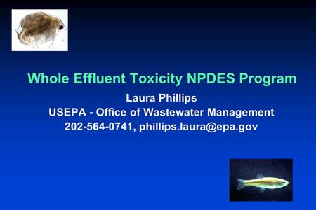 Whole Effluent Toxicity NPDES Program