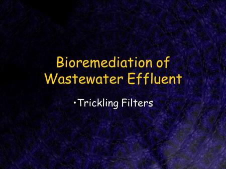 Bioremediation of Wastewater Effluent Trickling Filters.