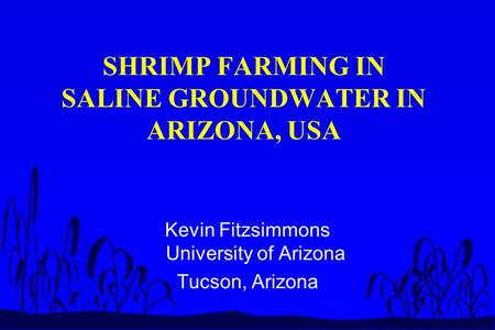 SHRIMP FARMING IN SALINE GROUNDWATER IN ARIZONA, USA Kevin Fitzsimmons University of Arizona Tucson, Arizona.