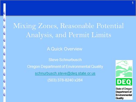 1 Mixing Zones, Reasonable Potential Analysis, and Permit Limits A Quick Overview Steve Schnurbusch Oregon Department of Environmental Quality