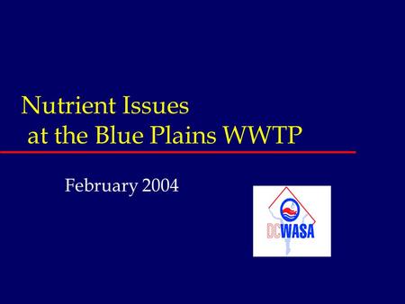 Nutrient Issues at the Blue Plains WWTP February 2004.