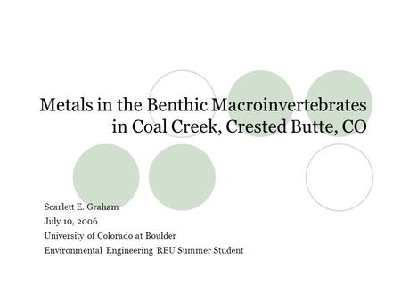 Metals in the Benthic Macroinvertebrates in Coal Creek, Crested Butte, CO Scarlett E. Graham July 10, 2006 University of Colorado at Boulder Environmental.