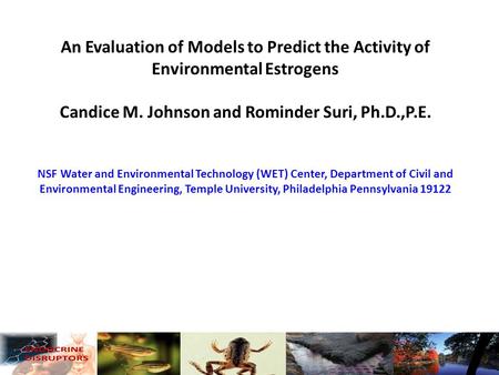 An Evaluation of Models to Predict the Activity of Environmental Estrogens Candice M. Johnson and Rominder Suri, Ph.D.,P.E. NSF Water and Environmental.