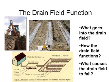 The Drain Field Function What goes into the drain field? How the drain field functions? What causes the drain field to fail?