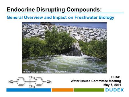 Endocrine Disrupting Compounds: General Overview and Impact on Freshwater Biology SCAP Water Issues Committee Meeting May 5, 2011 Photo by Judy Gibson.