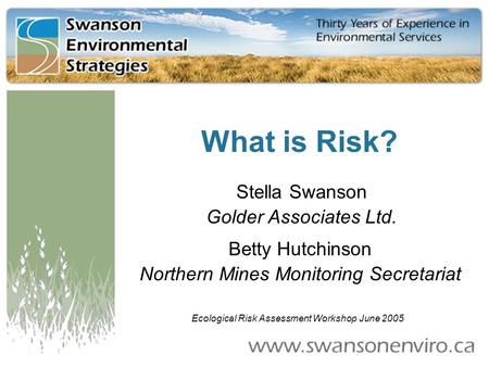 What is Risk? Stella Swanson Golder Associates Ltd. Betty Hutchinson Northern Mines Monitoring Secretariat Ecological Risk Assessment Workshop June 2005.