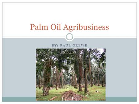 BY: PAUL GREWE Palm Oil Agribusiness. Sorry… In The Beginning According to The World History of Food, palm oil dates back as far as 3000B.C. (2000).
