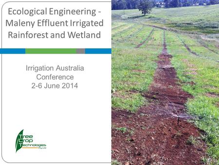 Ecological Engineering - Maleny Effluent Irrigated Rainforest and Wetland Irrigation Australia Conference 2-6 June 2014.