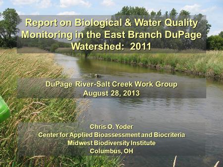 Report on Biological & Water Quality Monitoring in the East Branch DuPage Watershed: 2011 DuPage River-Salt Creek Work Group August 28, 2013 Chris O.