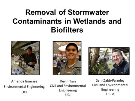 Removal of Stormwater Contaminants in Wetlands and Biofilters Amanda Jimenez Environmental Engineering UCI Kevin Tran Civil and Environmental Engineering.