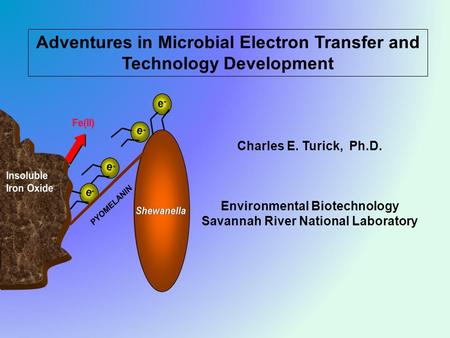 Adventures in Microbial Electron Transfer and Technology Development Charles E. Turick, Ph.D. Environmental Biotechnology Savannah River National Laboratory.