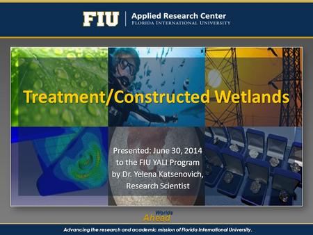 Advancing the research and academic mission of Florida International University. WorldsAhead Treatment/Constructed Wetlands Presented: June 30, 2014 to.