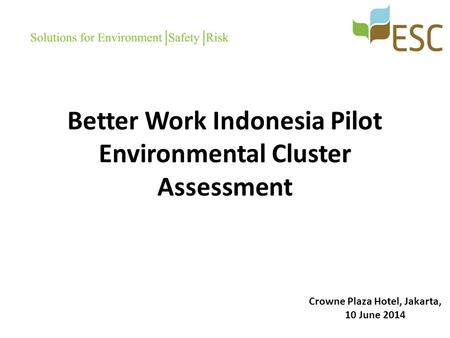 Better Work Indonesia Pilot Environmental Cluster Assessment Crowne Plaza Hotel, Jakarta, 10 June 2014.