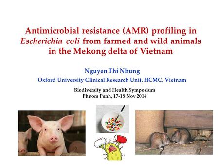 Antimicrobial resistance (AMR) profiling in Escherichia coli from farmed and wild animals in the Mekong delta of Vietnam Nguyen Thi Nhung Oxford University.