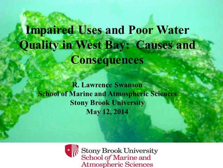 Impaired Uses and Poor Water Quality in West Bay: Causes and Consequences R. Lawrence Swanson School of Marine and Atmospheric Sciences Stony Brook University.