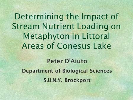 Determining the Impact of Stream Nutrient Loading on Metaphyton in Littoral Areas of Conesus Lake Peter D’Aiuto Department of Biological Sciences S.U.N.Y.