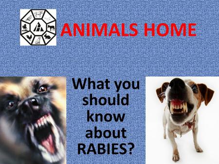 What you should know about RABIES?