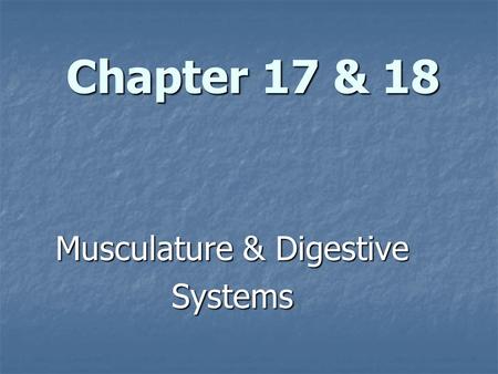 Chapter 17 & 18 Musculature & Digestive Systems. The Musculature System.