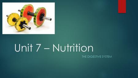 Unit 7 – Nutrition THE DIGESTIVE SYSTEM. Discussion…  What do you remember about digestion from 7 th grade?  What vital organs are a part of digestion?