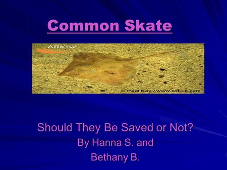 Common Skate Should They Be Saved or Not? By Hanna S. and Bethany B.