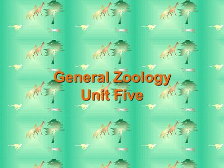 General Zoology Unit Five