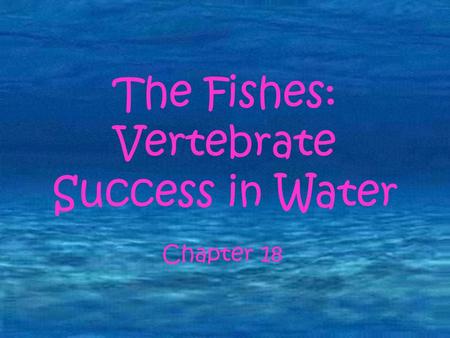 The Fishes: Vertebrate Success in Water