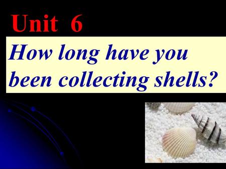 Unit 6 How long have you been collecting shells?